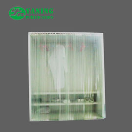 پوشش پودری Cleanroom Rent Storage Closet For Electronics Factory